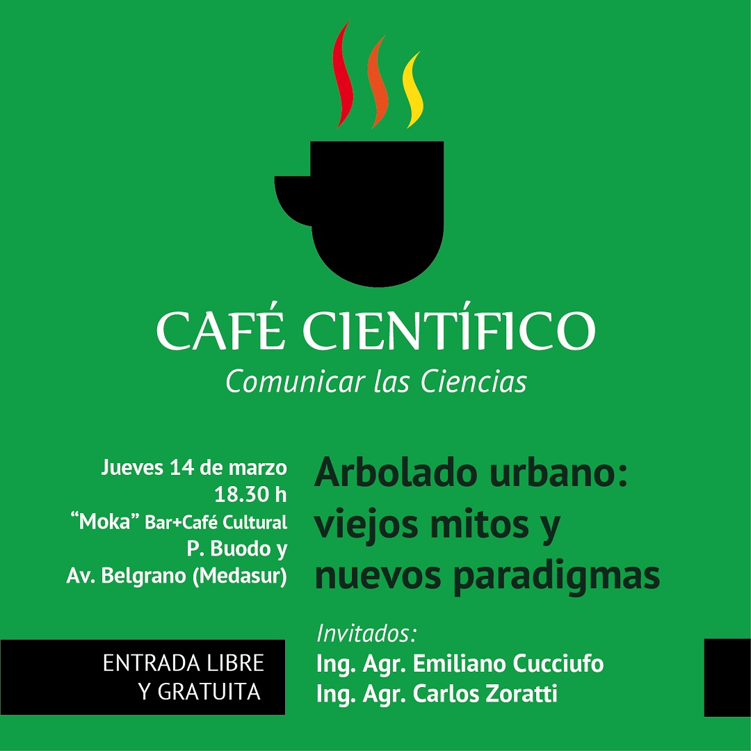 cafe arbolado urbano