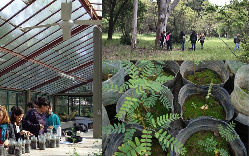 Fortalecimiento del vínculo del estudiante con la Universidad a través de experiencias participativas de educación ambiental