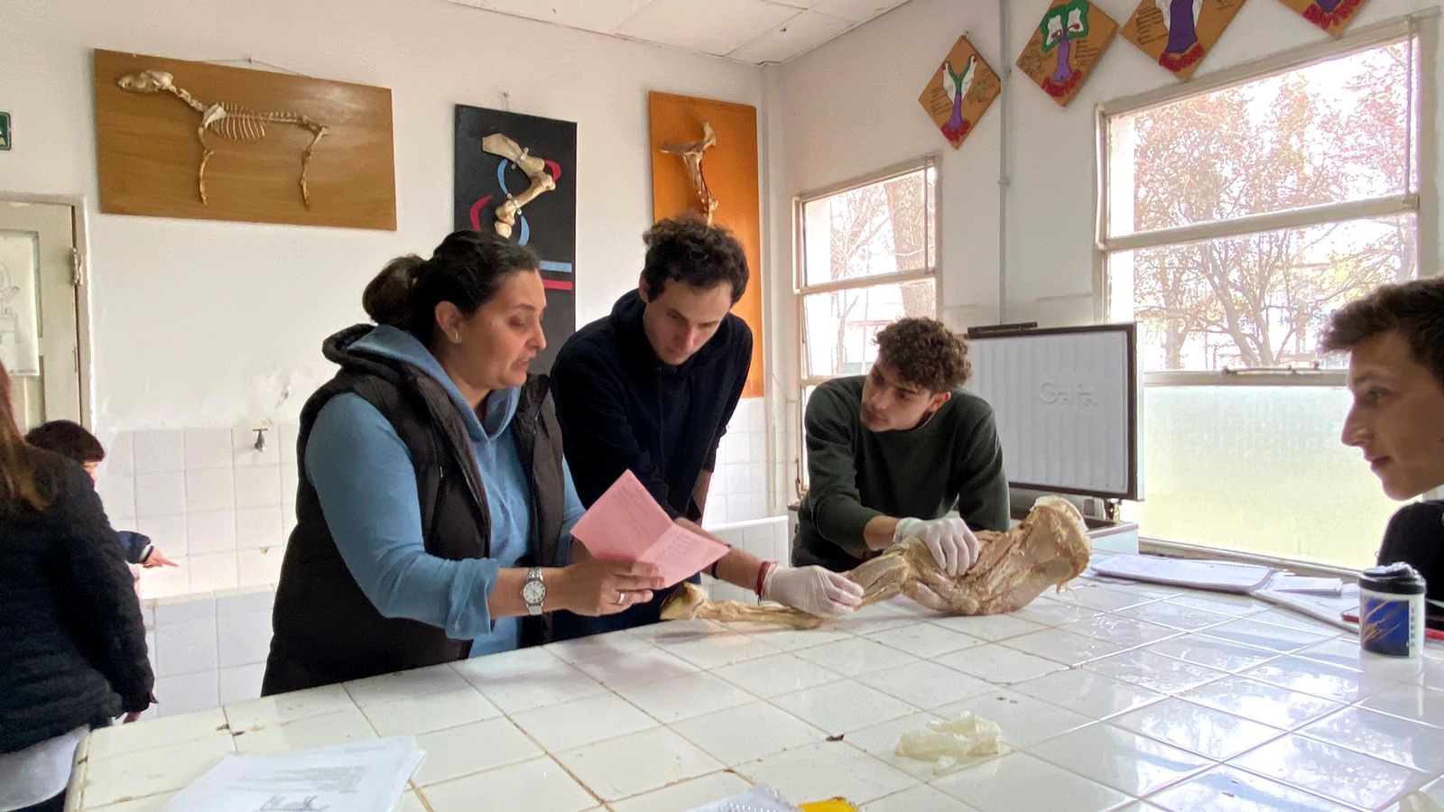 Revalorización ecosistémica de la sede central de la Facultad de Veterinaria, de la ciudad de General Pico, La Pampa.