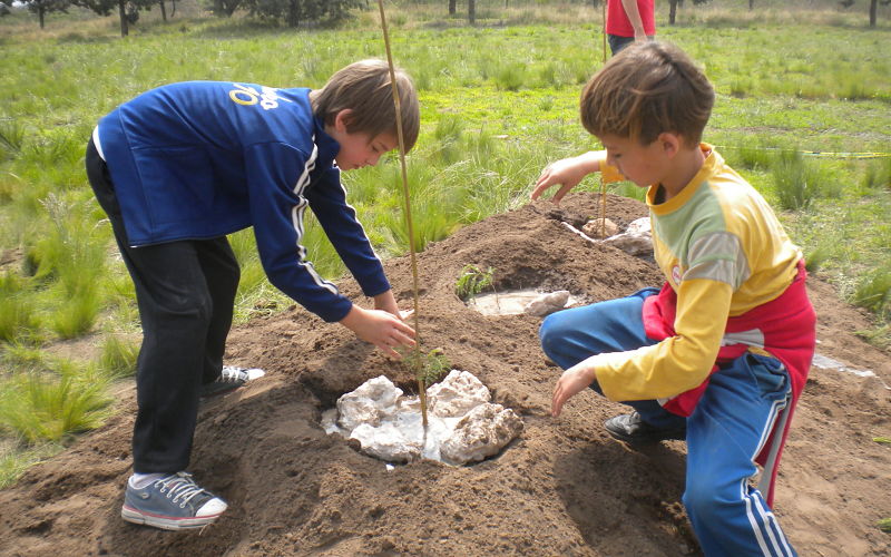 Revalorización del patrimonio de plantas nativas de La Pampa a través de su incorporación al paisaje urbano y periurbano