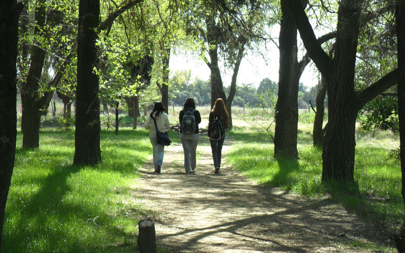 Mejoramiento de la competitividad de productora apícolas del centro de La Pampa