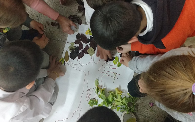 Ambiente urbano, comunidad y educación ambiental