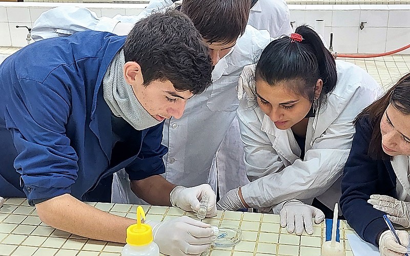 Construcción interinstitucional de una propuesta didáctica y pedagógica para el dictado de Química con enfoque agronómico