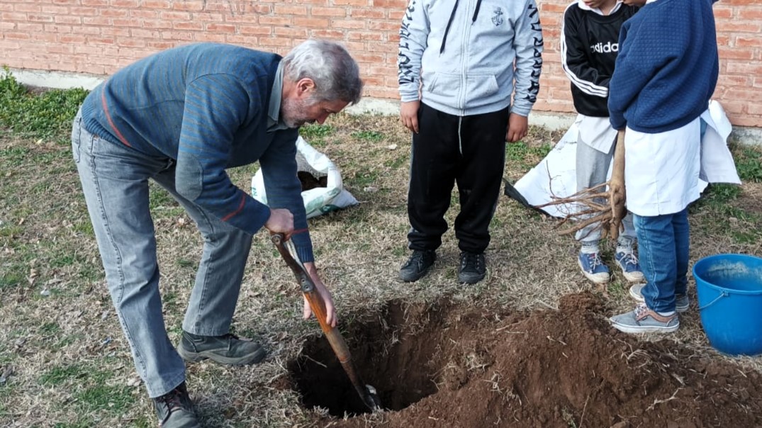 Sociedad y arbolado urbano. Por una mayor valorización de los espacios verdes