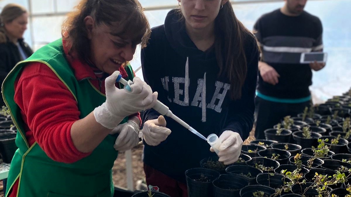 Mejoramiento de procesos productivos en unidades de economía popular, basadas en la producción de especies aromáticas, en la provincia de La Pampa