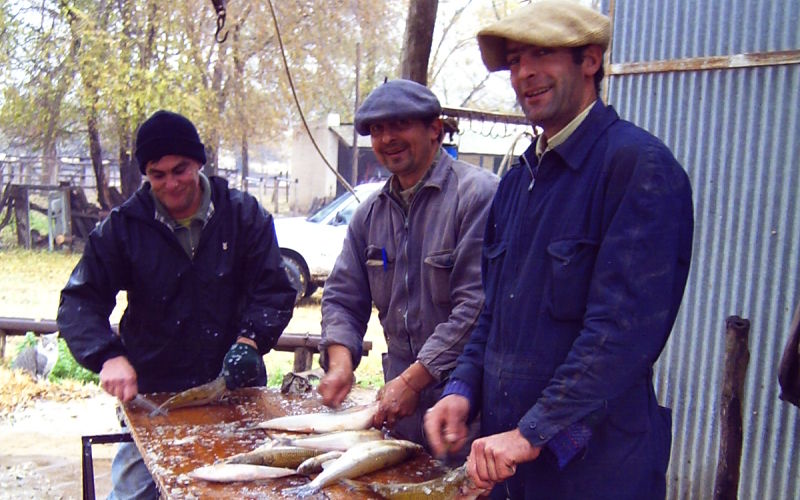 Manejo pesquero del pejerrey bonaerense, en ambientes acuáticos pampeanos. Transferencia de tecnología y desarrollo de pautas para su explotación sustentable